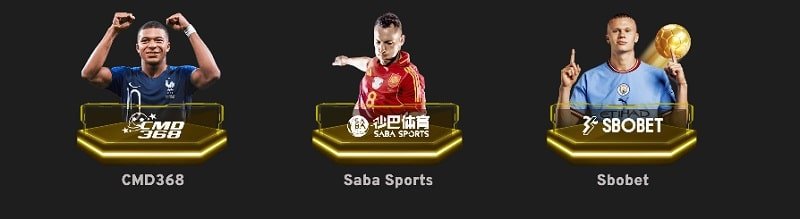 We88 sports partners